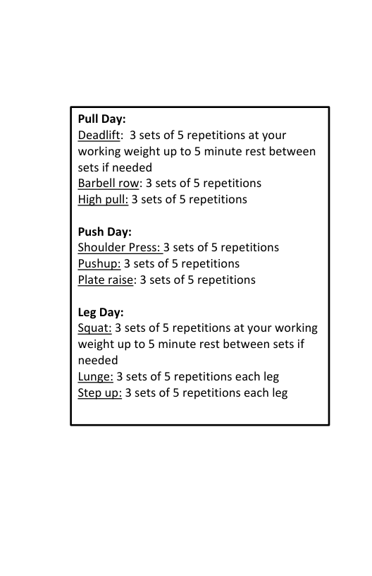 Pull Day: Deadlift: 3 sets of 5 repetitions at your working weight up to 5 minute rest between sets if needed Barbell row: 3 sets of 5 repetitions High pull: 3 sets of 5 repetitions Push Day: Shoulder Press: 3 sets of 5 repetitions Pushup: 3 sets of 5 repetitions Plate raise: 3 sets of 5 repetitions Leg Day: Squat: 3 sets of 5 repetitions at your working weight up to 5 minute rest between sets if needed Lunge: 3 sets of 5 repetitions each leg Step up: 3 sets of 5 repetitions each leg